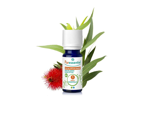 Huile Essentielle Eucalyptus Radiata BIO